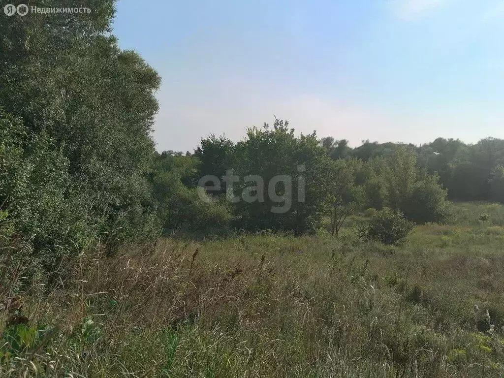 Участок в Хохольский район, село Костёнки, Набережная улица (39.93 м) - Фото 0