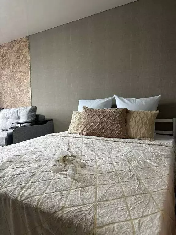 Студия Ростовская область, Шахты просп. Победа Революции, 62 (30.0 м) - Фото 2