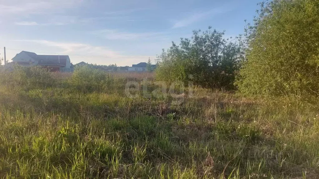 Участок в Тюменская область, Тюменский район, с. Чикча, Высокий Берег ... - Фото 0