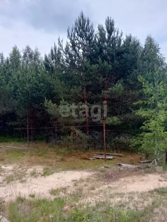 Участок в Псковская область, Гдовский район, Полновская волость, д. ... - Фото 1