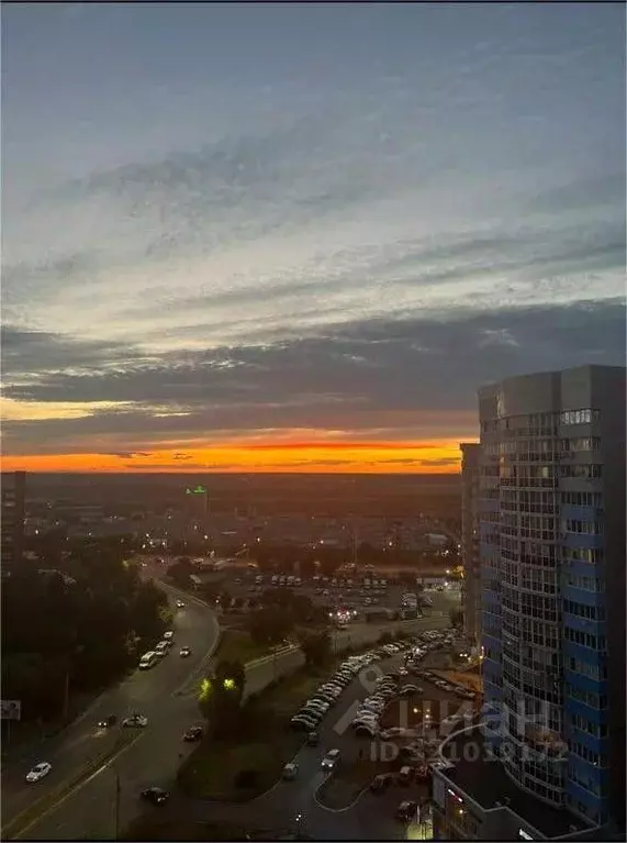 2-к кв. Воронежская область, Воронеж бул. Победы, 50Б (74.5 м) - Фото 1