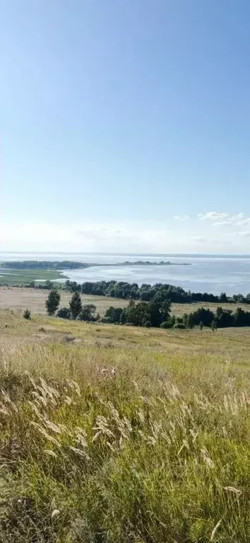 Участок в Татарстан, Тукаевский район, Биюрганское с/пос, д. Кулушево  ... - Фото 2