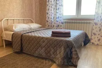 1-к кв. Воронежская область, Воронеж ул. 45-й Стрелковой Дивизии, 64/2 ... - Фото 0
