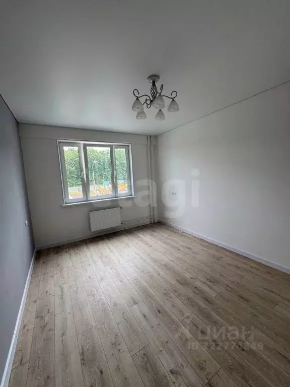 Студия Курская область, Курск ул. Энгельса, 158к1 (28.9 м) - Фото 1