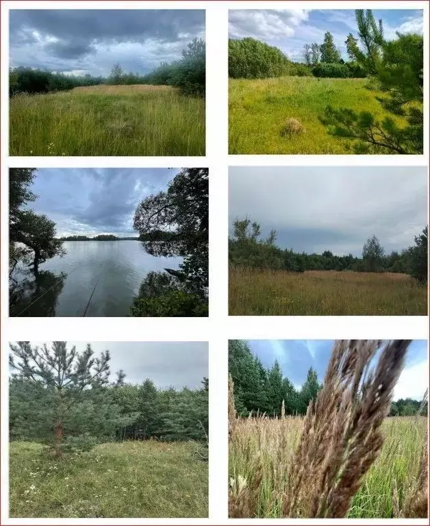 Участок в Псковская область, Себежский район, Идрица городское ... - Фото 1