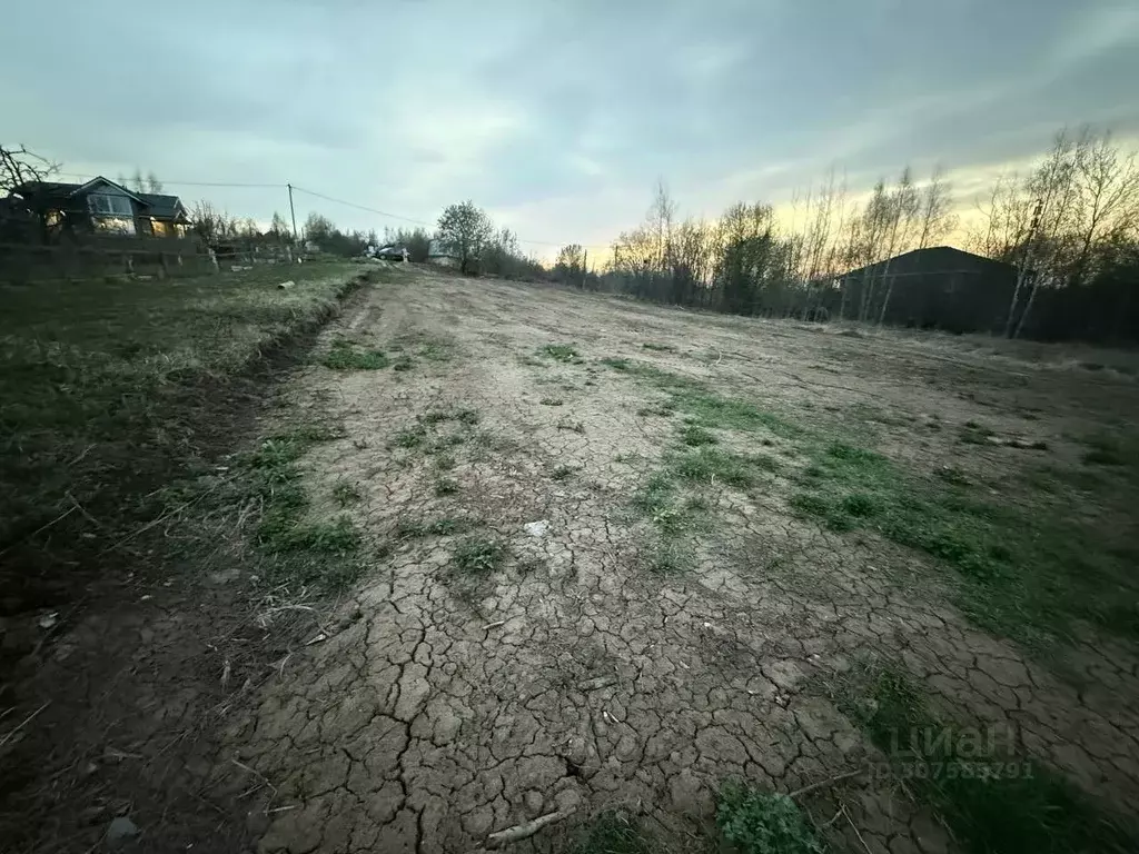 Участок в Нижегородская область, Кстовский муниципальный округ, д. ... - Фото 1
