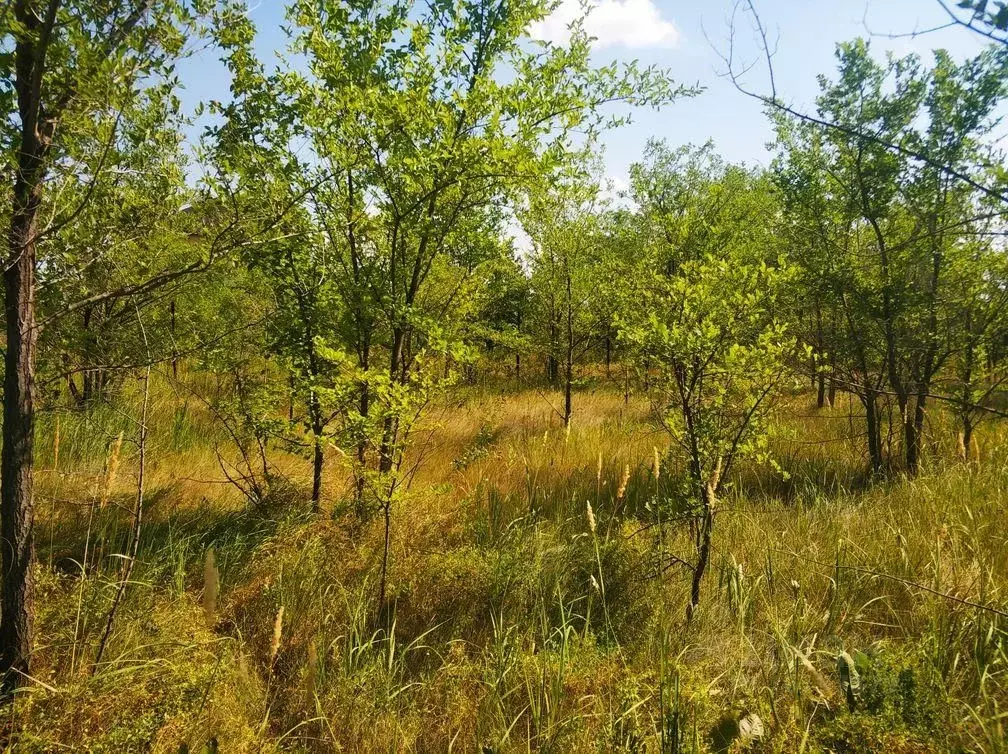 Купить Земельный Участок В Самарской Области