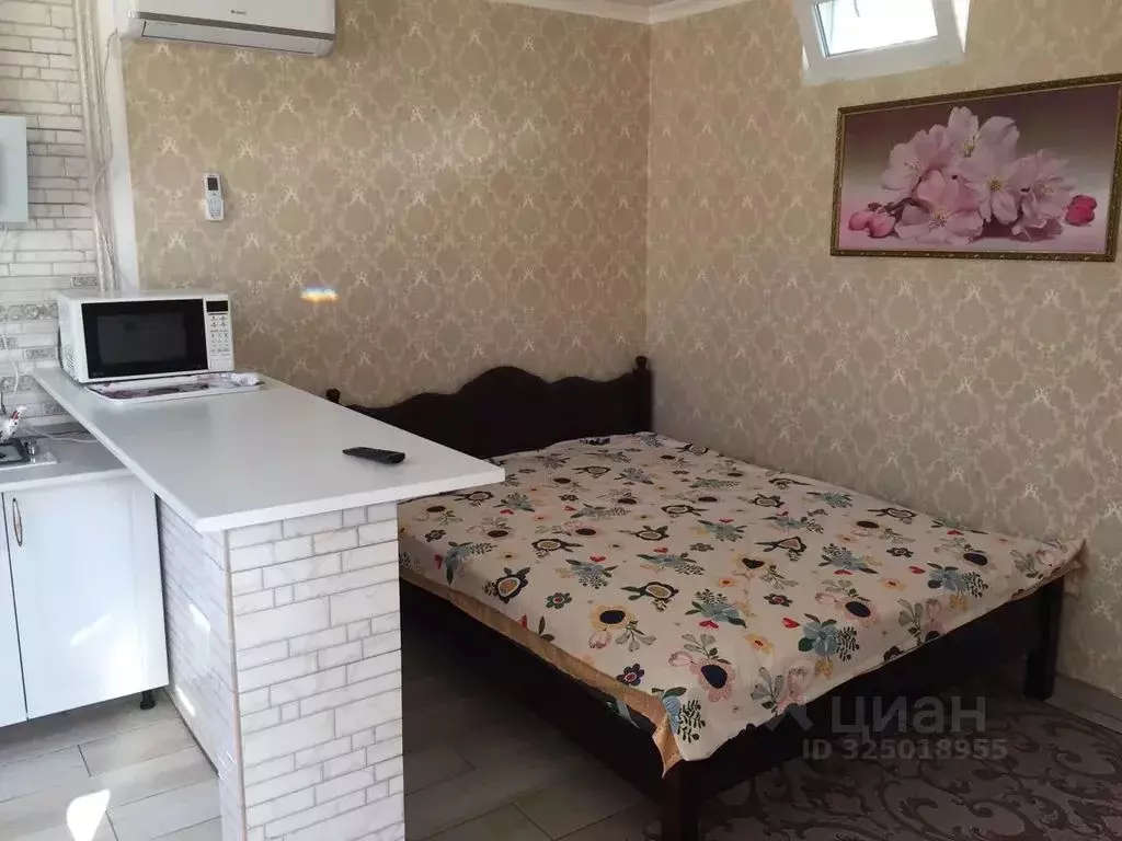 Студия Крым, Алушта ул. Садовая, 13 (20.0 м) - Фото 1