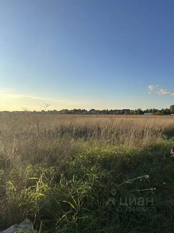 Участок в Московская область, Ступино городской округ, д. Акатово ул. ... - Фото 2