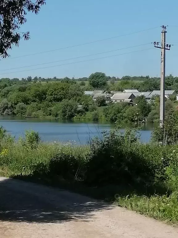 Дом в Тульская область, Новомосковский район, д. Ильинка 2-я  (39 м) - Фото 0