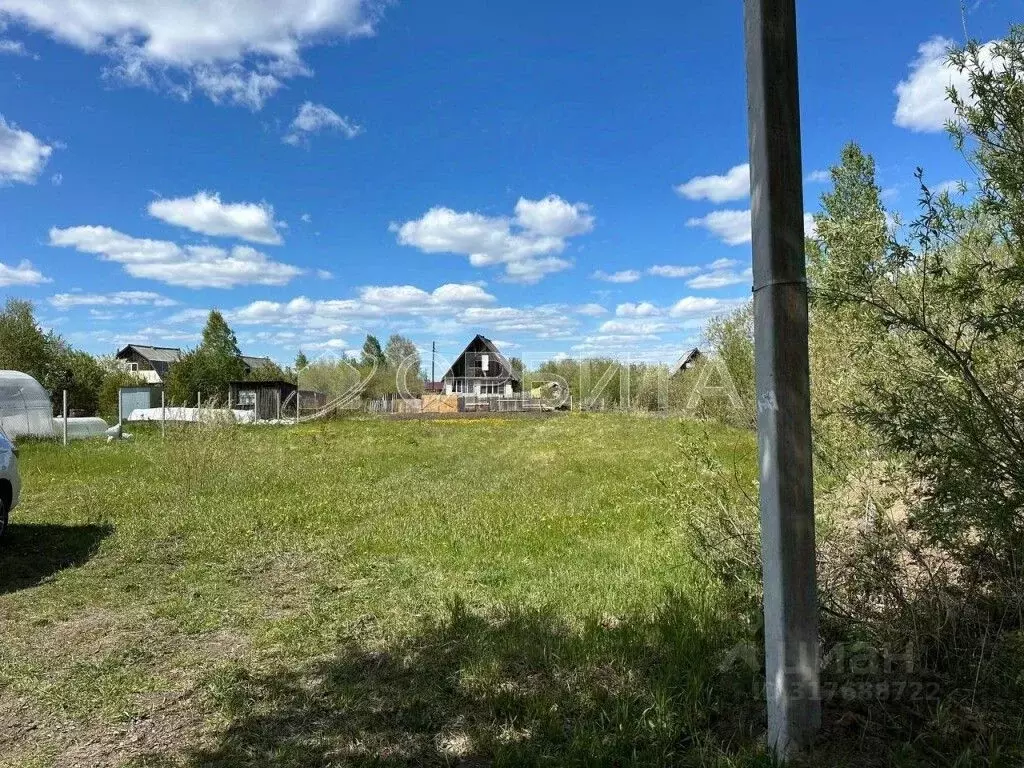 Участок в Тюменская область, Нижнетавдинский район, с. Тюнево ул. ... - Фото 1