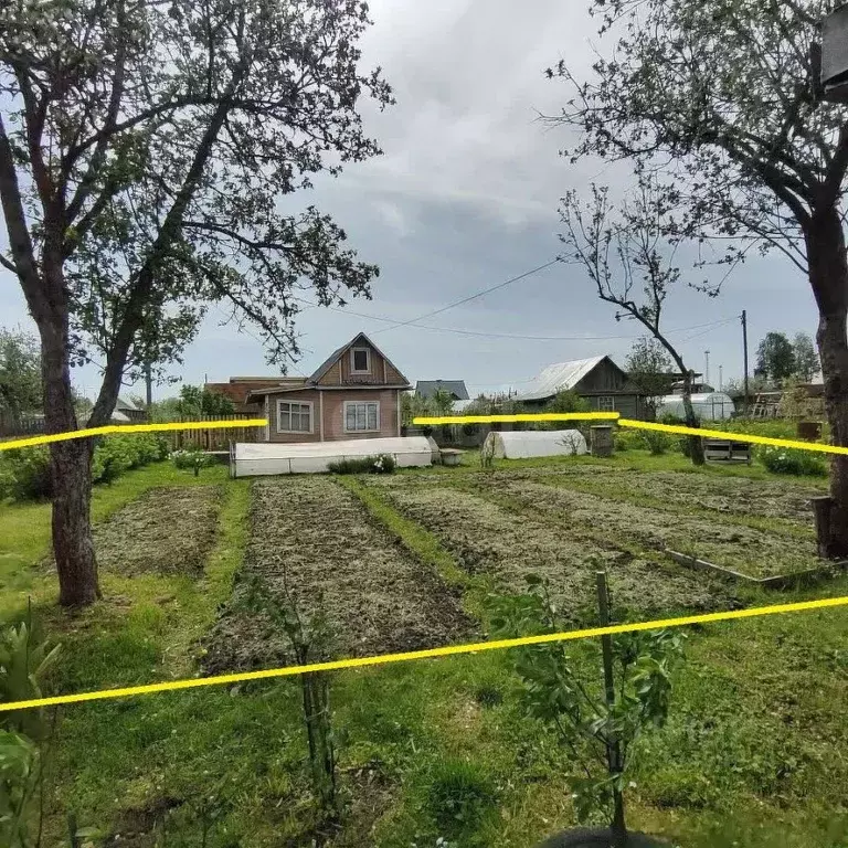 Дом в Вологодская область, Вологда Черемушки-3 садоводческое ... - Фото 2