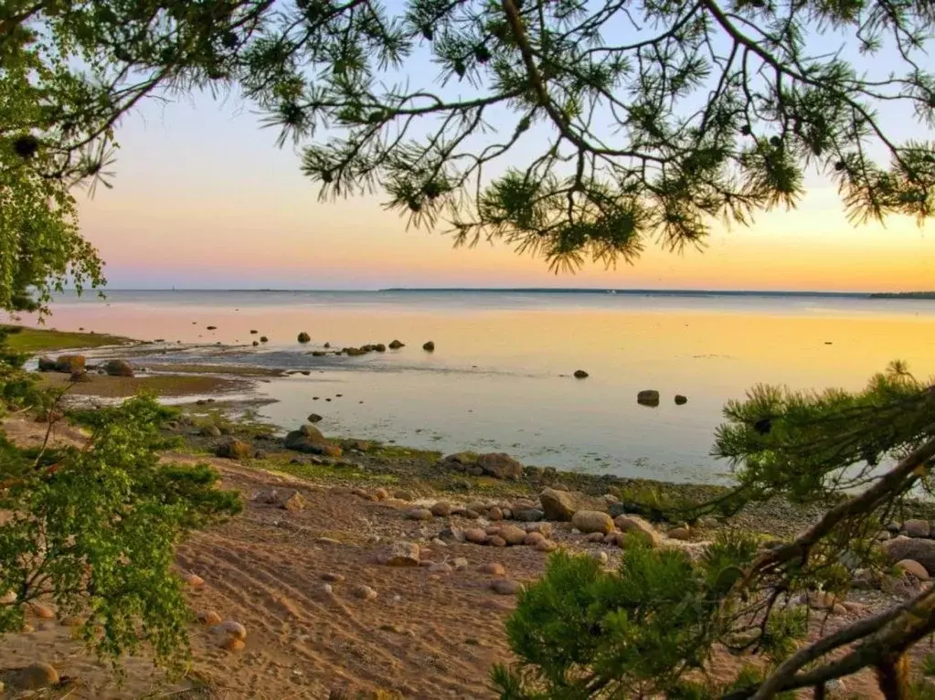 Участок в Санкт-Петербург пос. Ушково,  (24.0 сот.) - Фото 1