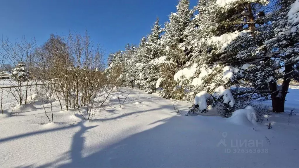Участок в Московская область, Наро-Фоминский городской округ, д. ... - Фото 2