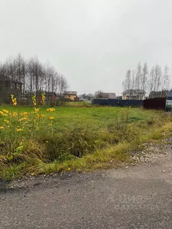 Участок в Владимирская область, Покров городской округ, д. Киржач ул. ... - Фото 1