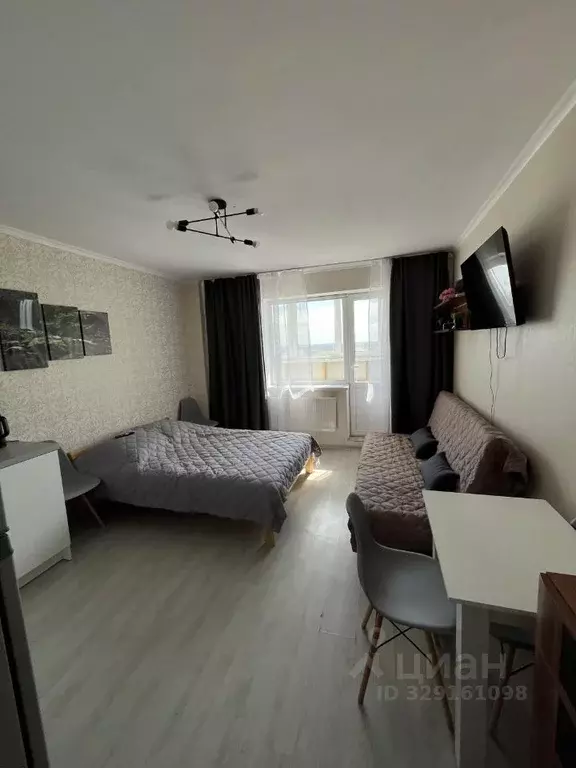 Студия Санкт-Петербург пос. Шушары, ул. Вишерская, 24 (25.0 м) - Фото 2