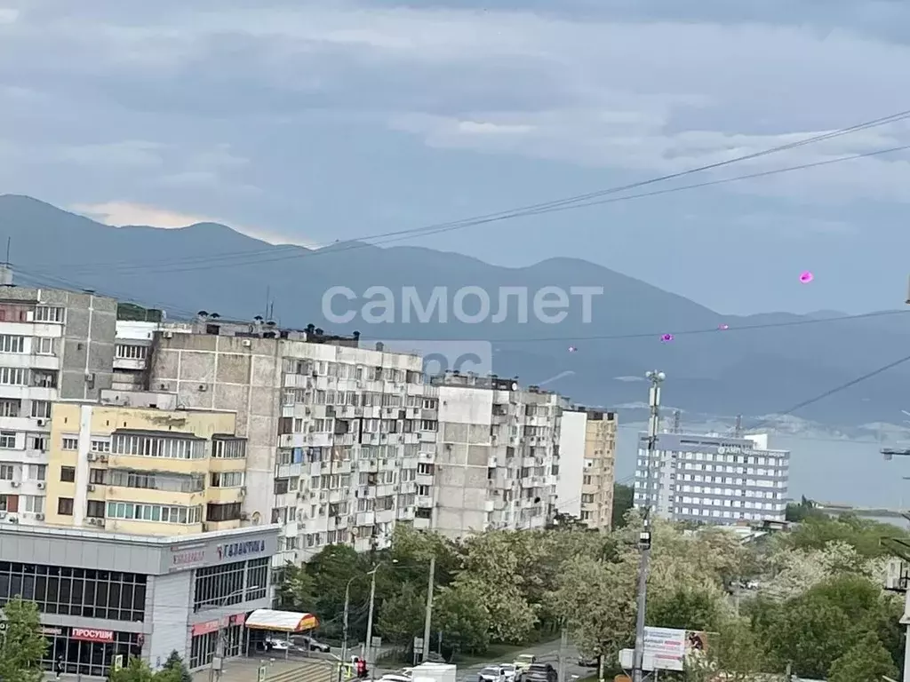 1-к кв. Краснодарский край, Новороссийск ул. Хворостянского, 11 (39.0 ... - Фото 1