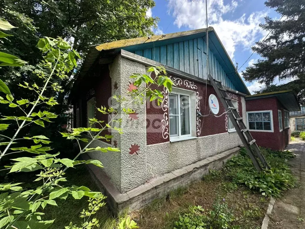 Дом в Омская область, Омский район, с. Дружино 1 Мая ул., 6 (56 м) - Фото 1