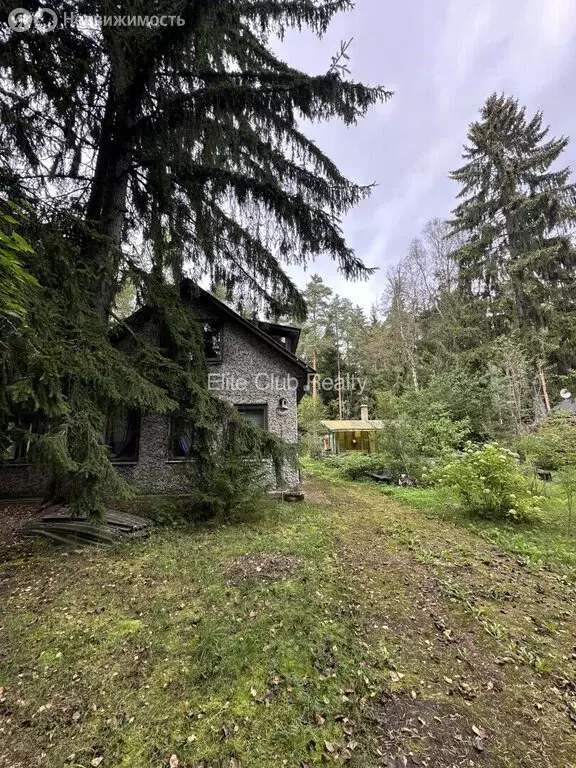 Участок в посёлок Репино, Финляндская улица, 10 (15.63 м) - Фото 2