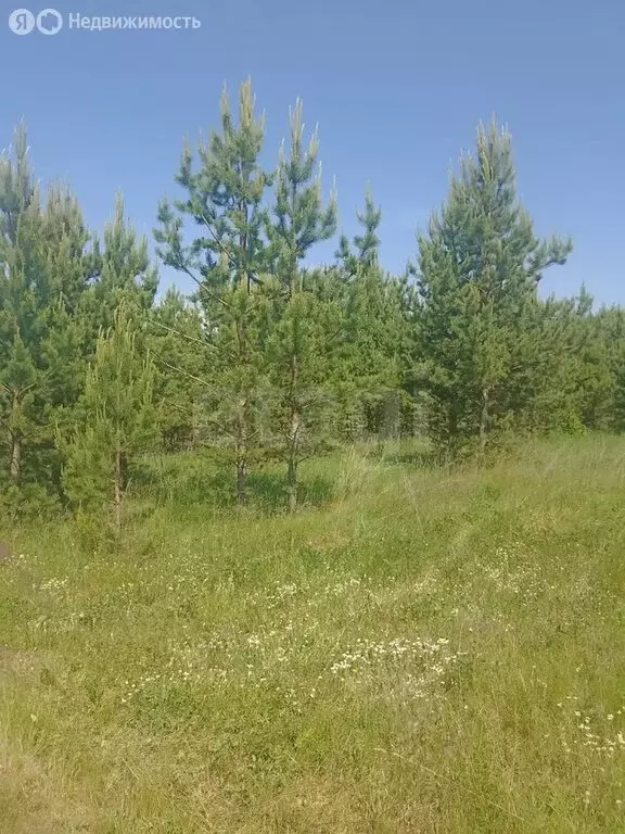 Участок в Миасский городской округ, посёлок Новотагилка (8 м) - Фото 0