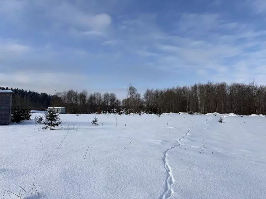 Участок в Ленинградская область, Волосовский район, Калитинское с/пос, ... - Фото 2