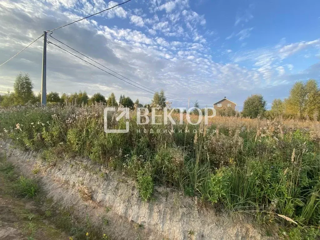 Участок в Костромская область, Костромской район, Бакшеевское с/пос, ... - Фото 2