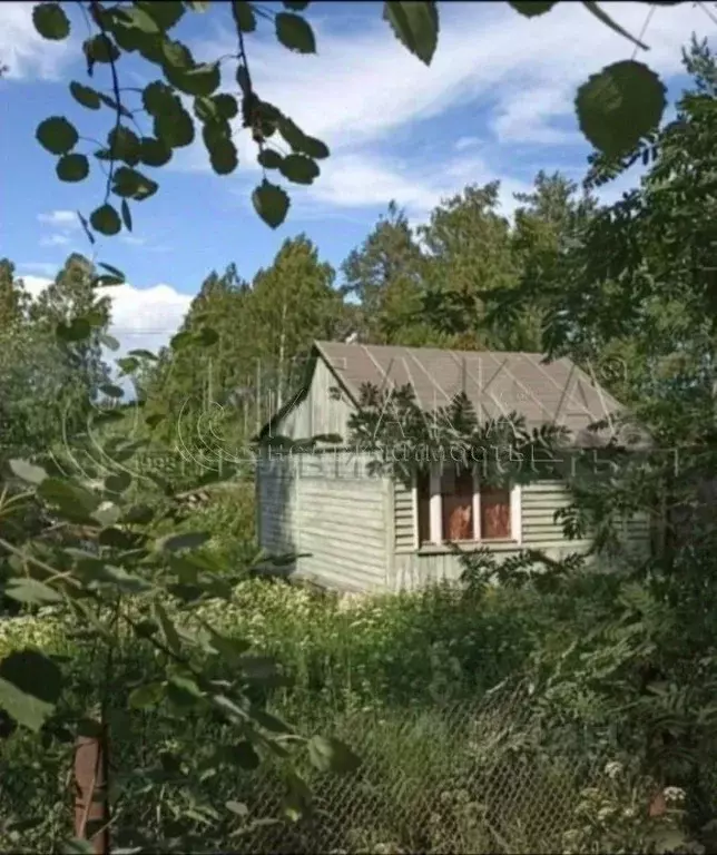 Дом в Ленинградская область, Выборг ул. Ладная, 54 (33 м) - Фото 1