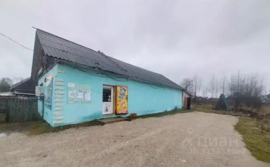 Торговая площадь в Пермский край, Александровск Яйва пгт, ул. Максима ... - Фото 2