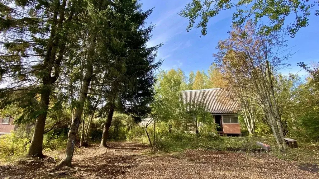 Дом в Ленинградская область, Тосненский район, Форносовское городское ... - Фото 0