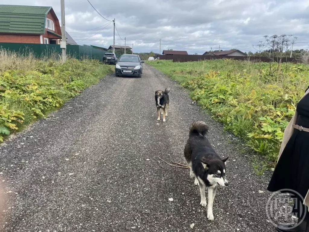 Участок в Ленинградская область, Лужский район, Заклинское с/пос, д. ... - Фото 1