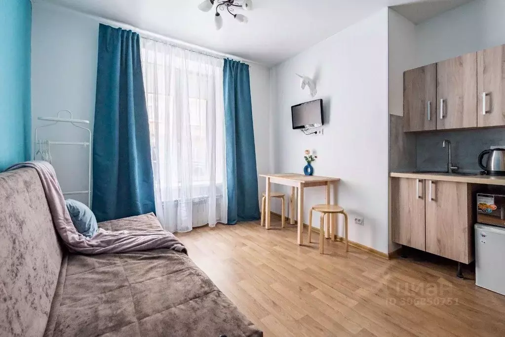 Студия Санкт-Петербург ул. Марата, 35 (24.5 м) - Фото 1