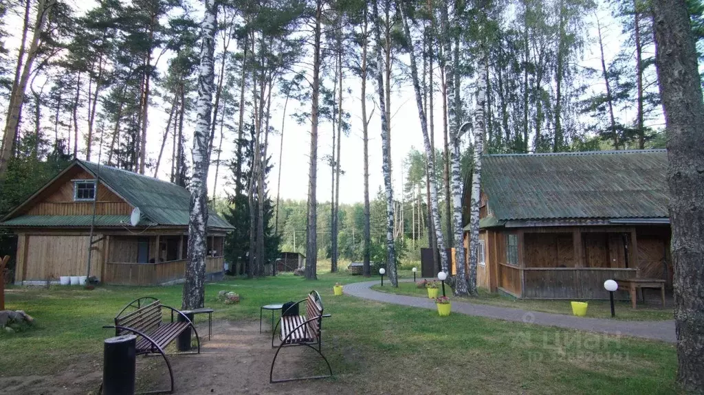 Дом в Нижегородская область, Семеновский муниципальный округ Р-177 ... - Фото 2