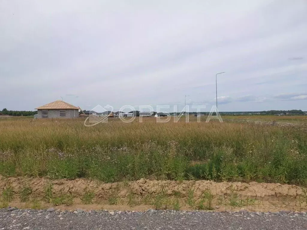 Участок в Тюменская область, Тюменский муниципальный округ, Каменское ... - Фото 2