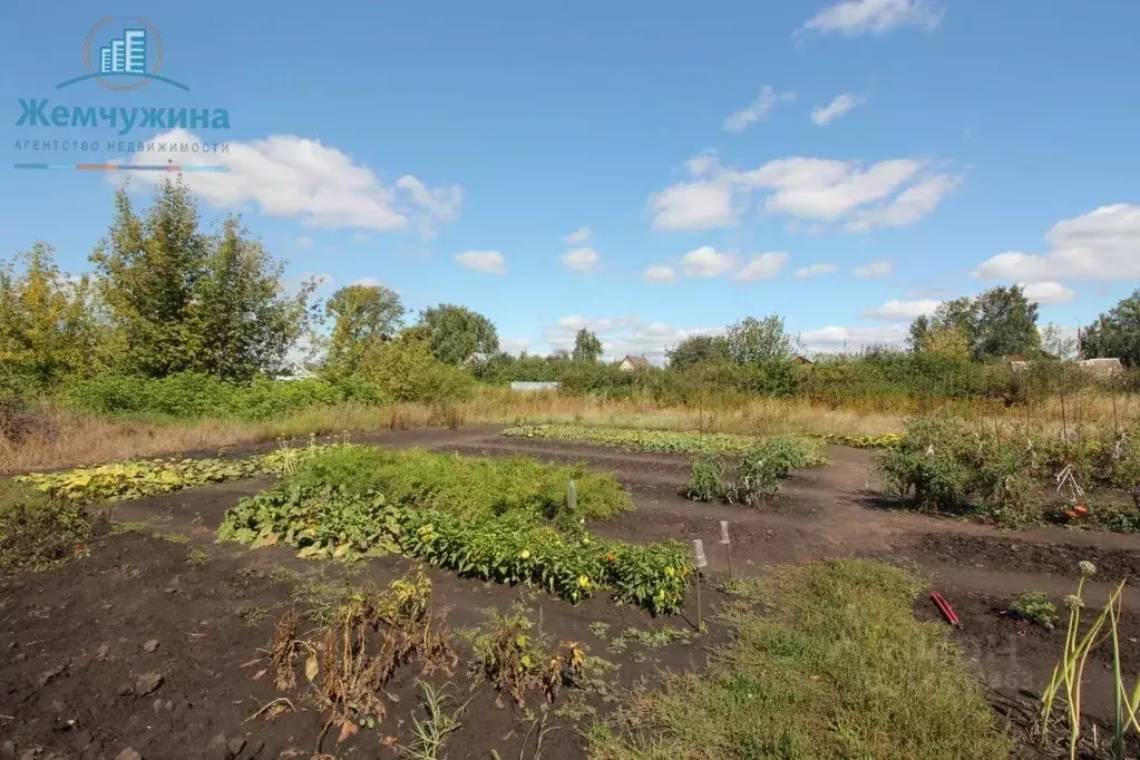 Дом в Ульяновская область, Мелекесский район, Николочеремшанское ... - Фото 1