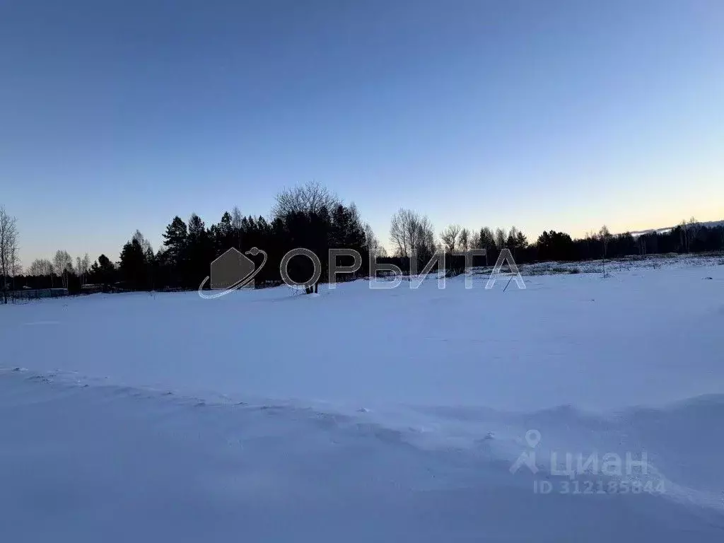 Участок в Тюменская область, Нижнетавдинский район, с. Тюнево  (9.2 ... - Фото 0