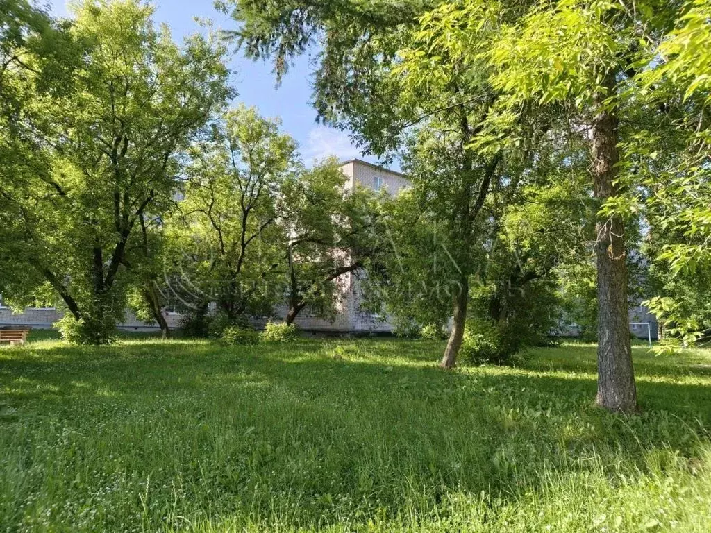 3-к кв. Ленинградская область, Пикалево г. Бокситогорский район, ... - Фото 2