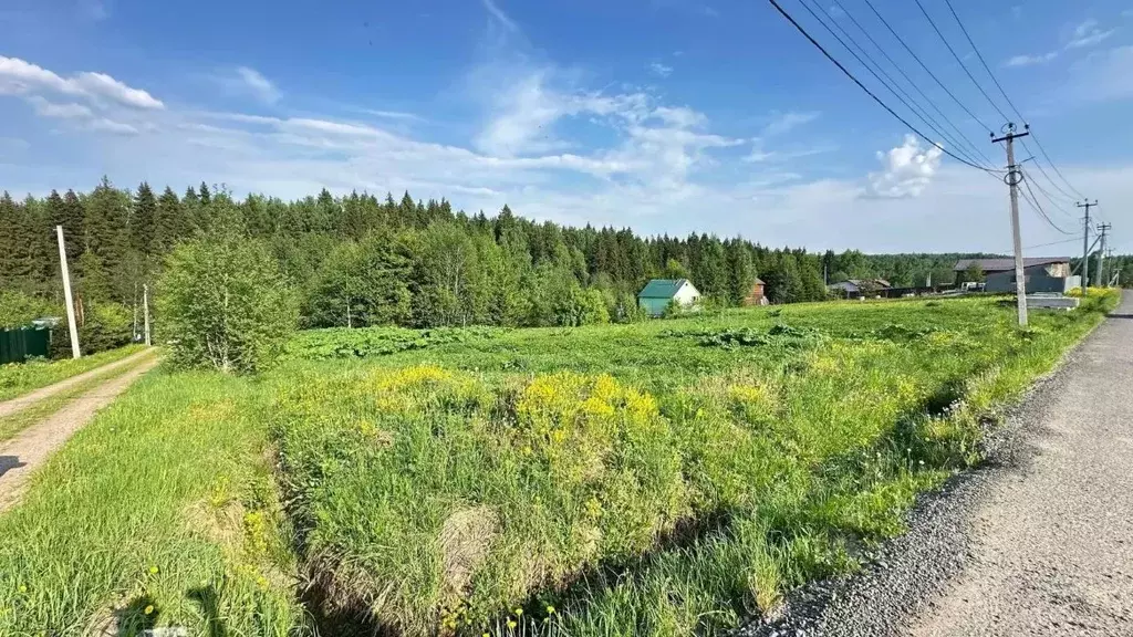 Участок в Московская область, Дмитровский муниципальный округ, ... - Фото 1