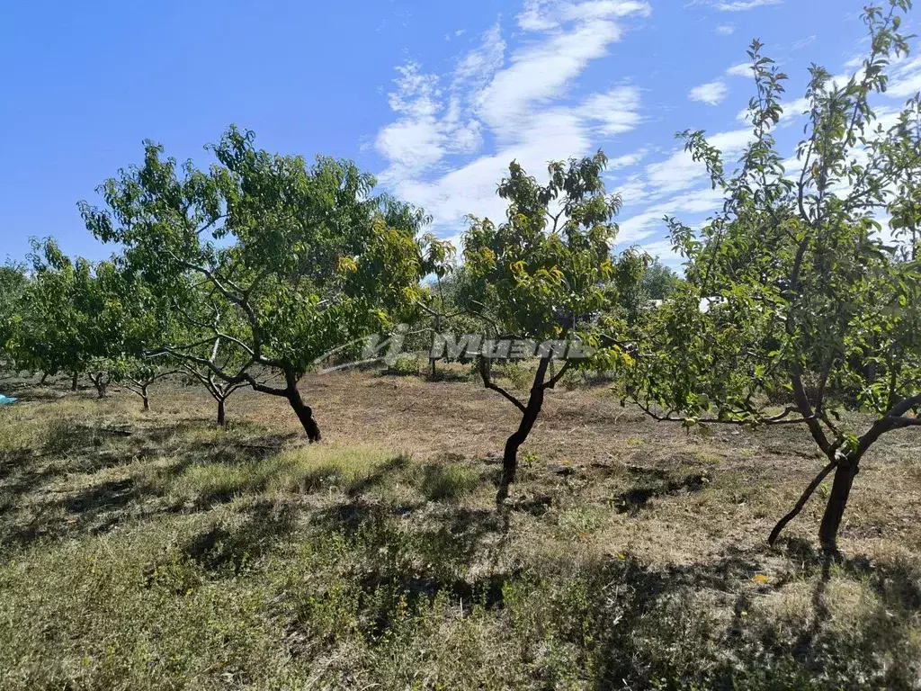 Участок в Крым, Симферопольский район, Трудовское с/пос, с. Ивановка ... - Фото 1