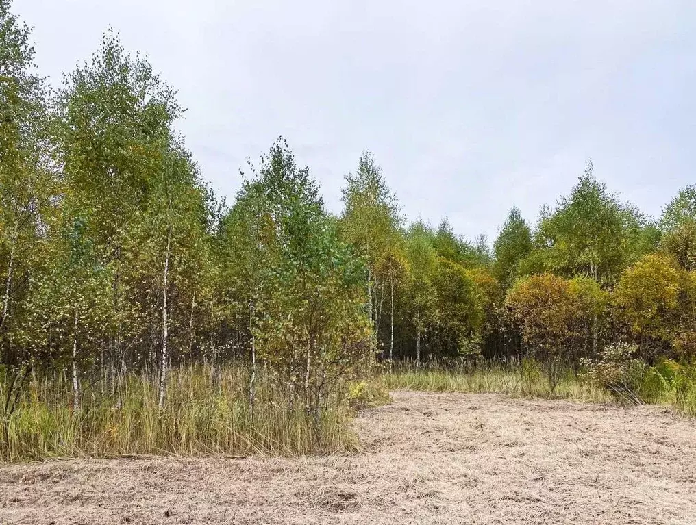 Участок в Калужская область, Тарусский муниципальный округ, Похвиснево ... - Фото 2