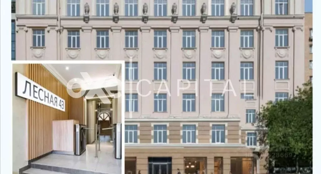 Офис в Московская область, Пушкино Лесная ул., 43 (550 м) - Фото 1