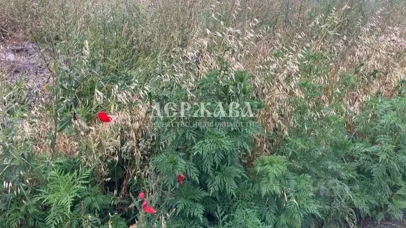 Участок в Белгородская область, Старый Оскол Набокинские Сады ... - Фото 0