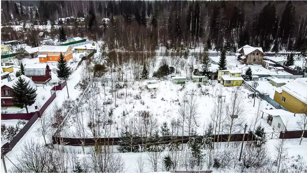 Участок в Ленинградская область, Сертолово Всеволожский район, Ягодка ... - Фото 0