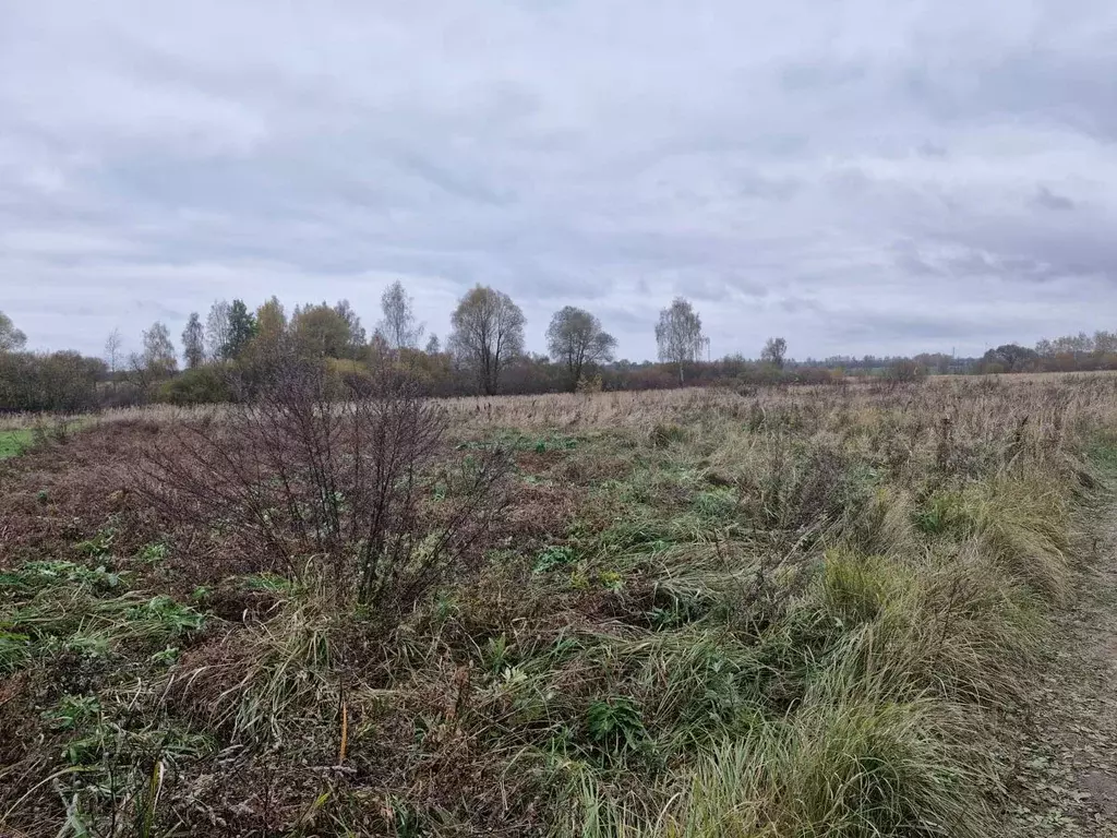 Участок в Московская область, Ступино городской округ, д. Игнатьево  ... - Фото 0