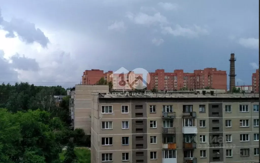 1-к кв. Новосибирская область, Новосибирск Выборная ул., 99 (29.0 м) - Фото 1