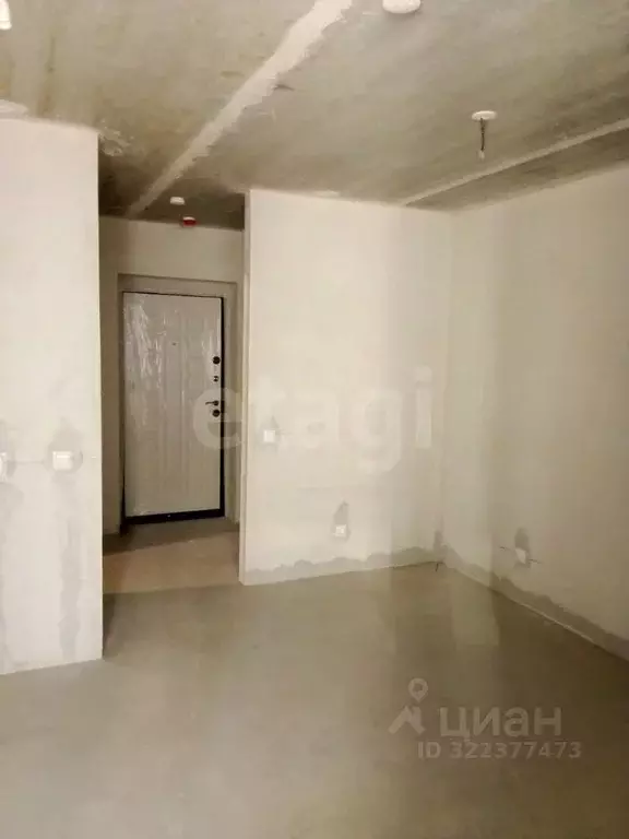 Студия Амурская область, Благовещенский район, с. Чигири ул. ... - Фото 1