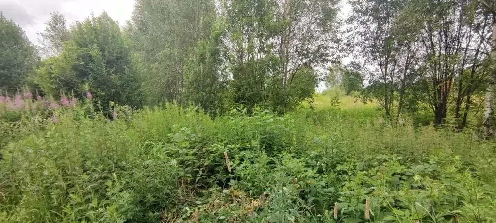 Участок в Московская область, Солнечногорск городской округ, пос. 2-я ... - Фото 2