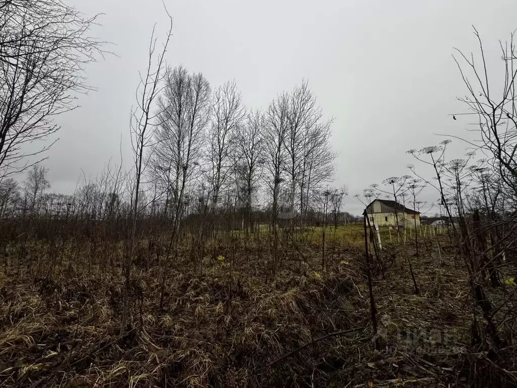 Участок в Тверская область, Калининский муниципальный округ, с. ... - Фото 2