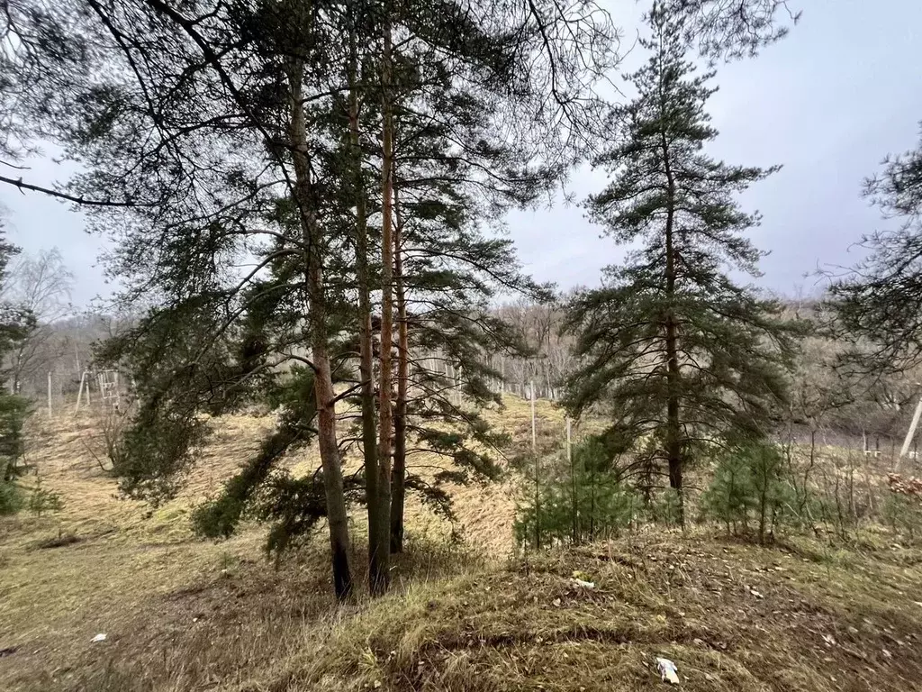 Участок в Московская область, Истра муниципальный округ, д. Лешково 19 ... - Фото 1