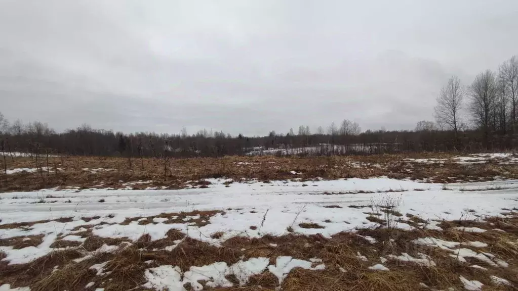 Участок в Ленинградская область, Сланцевский район, Старопольское ... - Фото 1