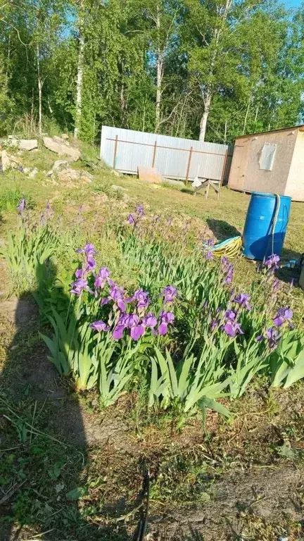 Дом в Тюменская область, Тюменский муниципальный округ, Подъем СНТ ул. ... - Фото 2